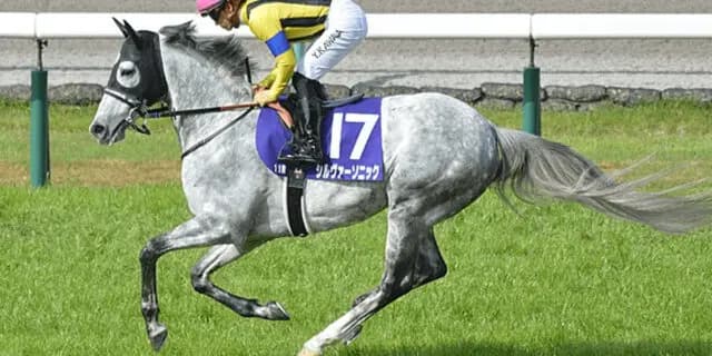 【JRA】シルヴァーソニックは天皇賞・春へ、昨年落馬のリベンジへ