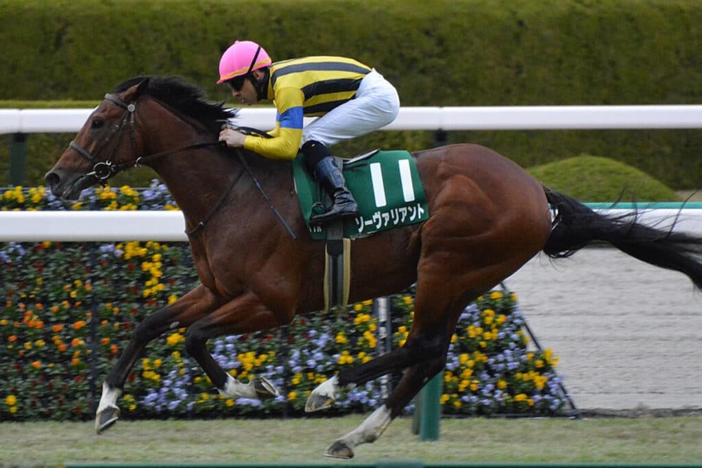 【中山記念2023予想】ソーヴァリアントの〝危険サイン〟は初の1800mか？