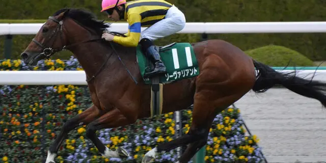 【JRA鳴尾記念2023予想】ソーヴァリアント、前走の大敗は〝危険サイン〟か？