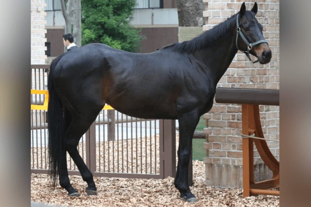 【JRA】93年のダービー馬・ウイニングチケットが亡くなる