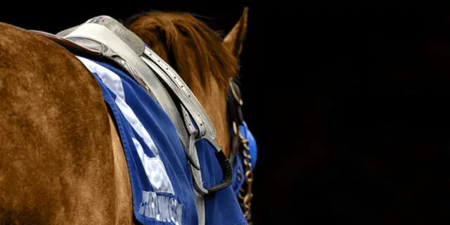 【UAEダービー2023】福永祐一騎手が引退前に蒔いた種の行方は？