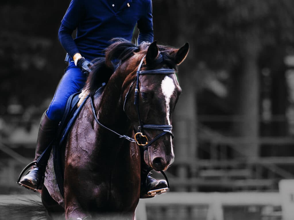 【ドバイゴールデンシャヒーン2023予想】最強の助っ人を鞍上に得た〝あの馬〟の大駆けに期待！