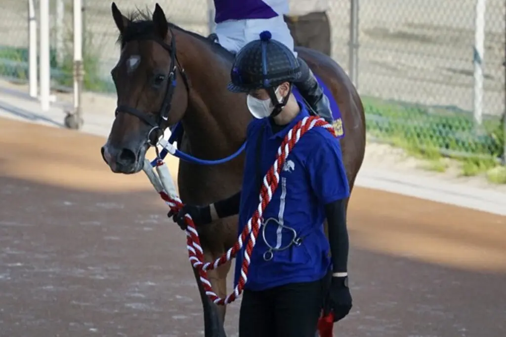 【NARグランプリ2023】地方年度代表馬は2年連続でイグナイター