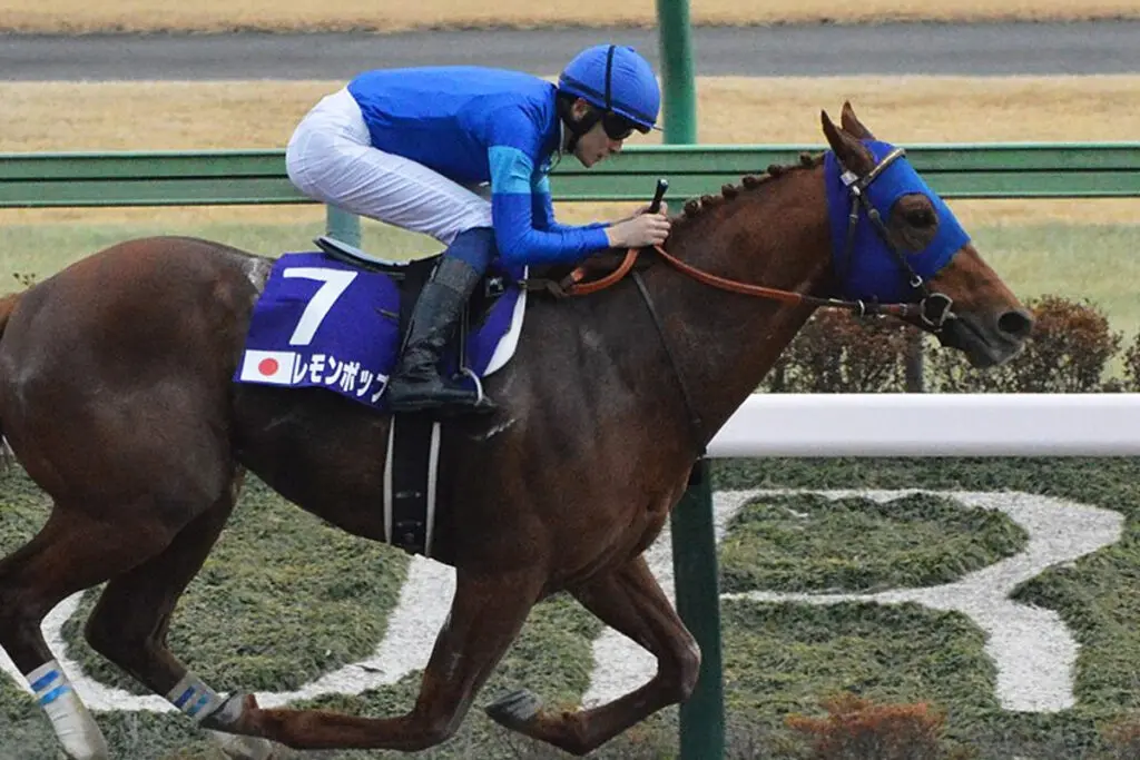 【マイルCS南部杯2024予想】レモンポップは確勝級か、状態面に不安あり？