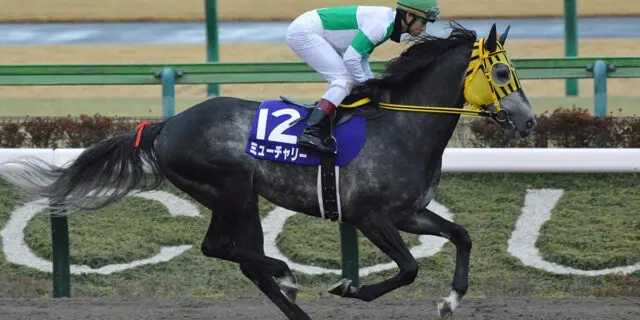 【ダイオライト記念2023予想】伏兵が付け入る隙は十分！〝狙い目〟の1頭とは？