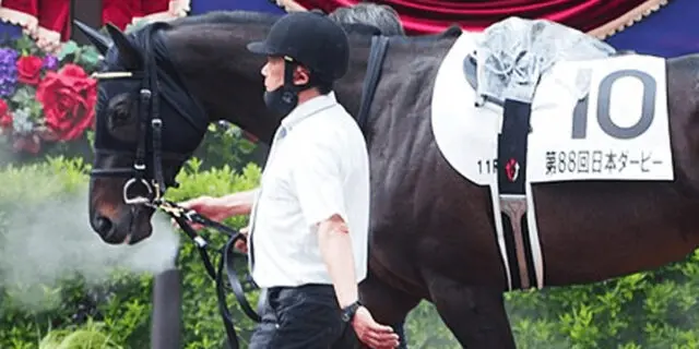 【JRA】シャフリヤールはC.デムーロ騎手とのコンビで米BCターフへ