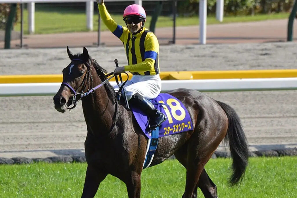 【JRA】スターズオンアースが引退、繁殖入り