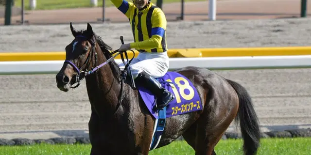 【有馬記念2023予想】スターズオンアースの2つの不安要素とは？