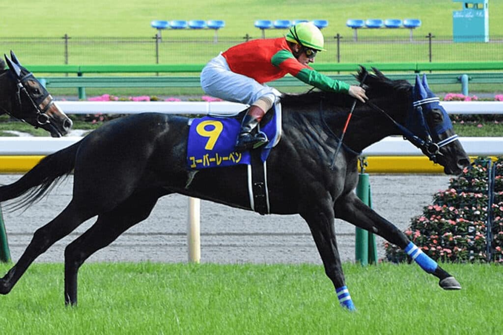 【JRA】ユーバーレーベンが引退・繁殖入り、左前屈腱炎のため