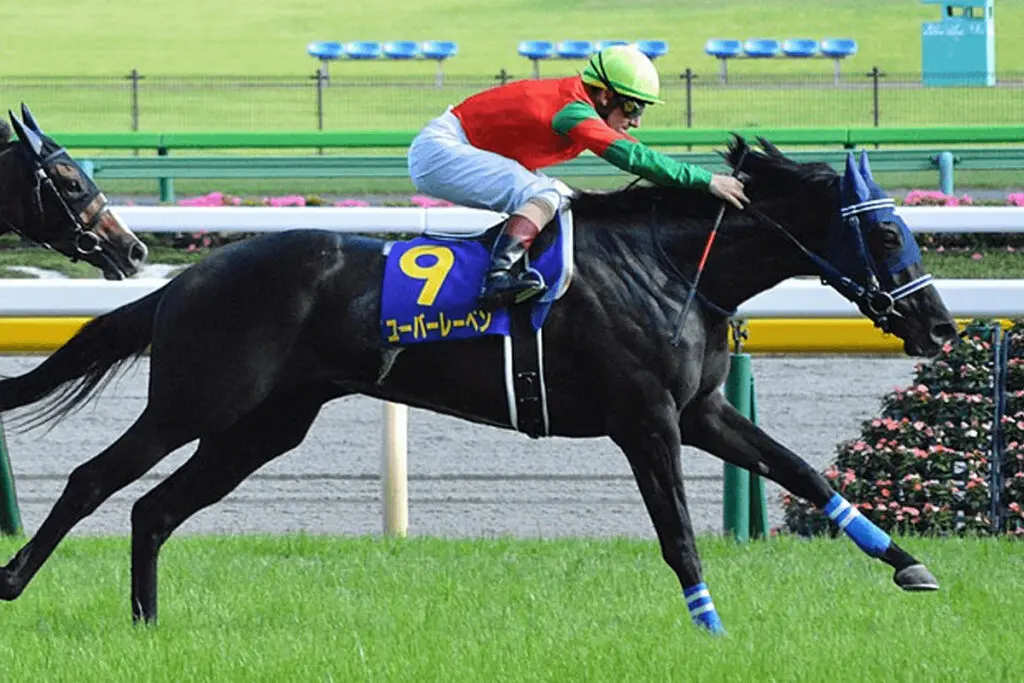 【JRA】ユーバーレーベンが引退・繁殖入り、左前屈腱炎のため