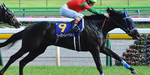 【JRA】ユーバーレーベンが引退・繁殖入り、左前屈腱炎のため