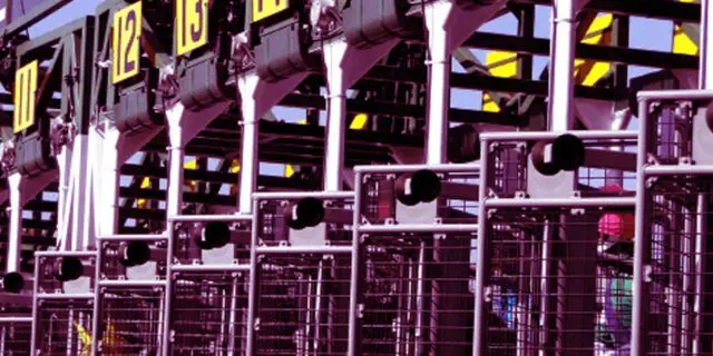 【マイルCS2025】JRA、ソウルラッシュやジャンタルマンタルなど22頭の登録馬を発表