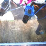 【JRA京都ジャンプステークス2025】伏兵クラップサンダー、展開ひとつで上位争いも