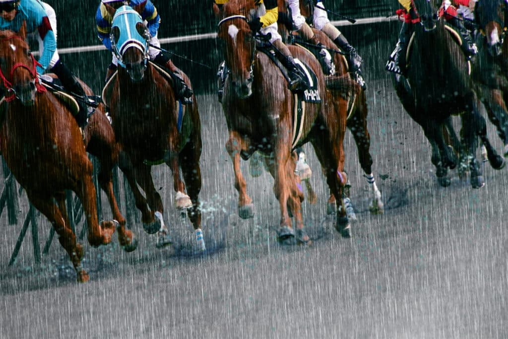 【マーメイドS予想2024】福永厩舎期待の素質馬エーデルブルーメ、雨の道悪克服なるか？