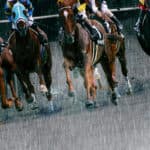 【オークス2026予想】週末の天気は？馬場状態で狙いたい馬を分析