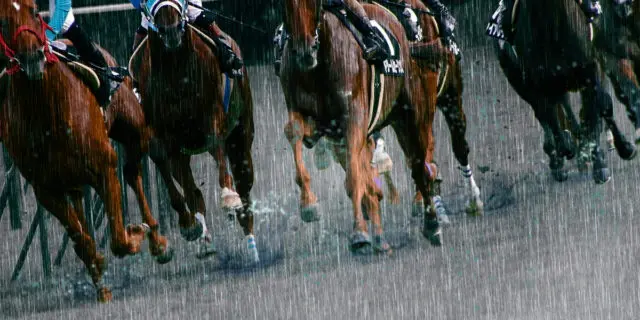 【金鯱賞2025予想】雨予報で浮上する穴馬、道悪巧者のアスクドゥポルテ