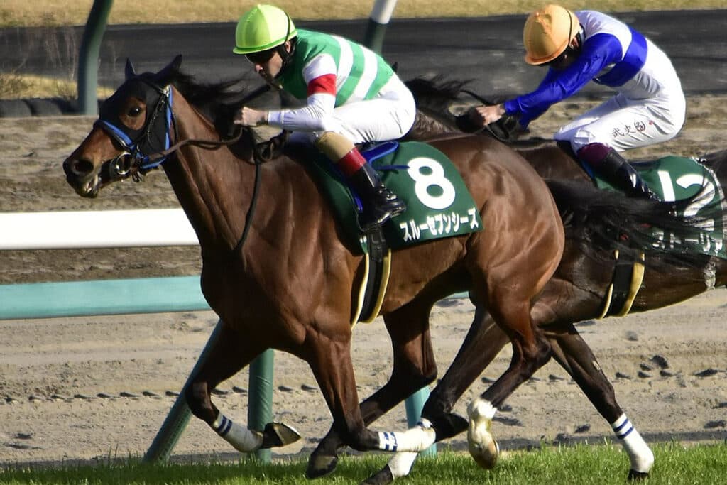 【JRA】スルーセブンシーズは凱旋門賞へ、鞍上はC.ルメール騎手に騎乗依頼