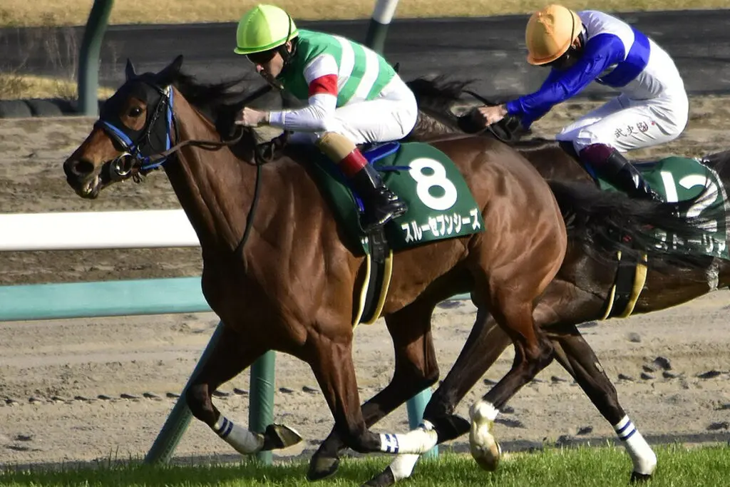 【JRA】スルーセブンシーズは凱旋門賞へ、鞍上はC.ルメール騎手に騎乗依頼