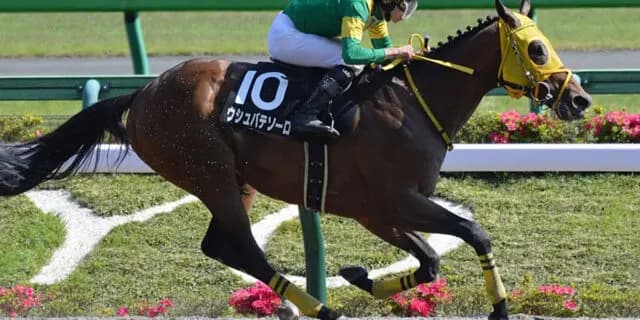 【BCクラシック2023】ドバイWC覇者ウシュバテソーロ、ダートの最高峰BCクラシック挑戦