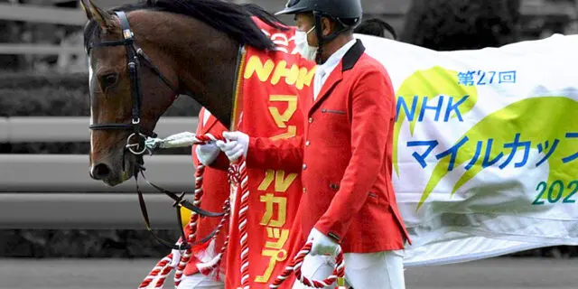 【JRA京王杯スプリングC予想2023】ダノンスコーピオン、1400mへ距離短縮は〝危険サイン〟か？