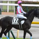 ドゥラエレーデ、種牡馬予定を覆し大井で現役続行！