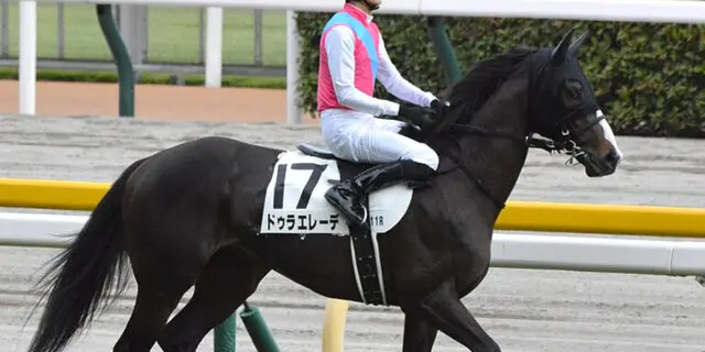 ドゥラエレーデ、種牡馬予定を覆し大井で現役続行！