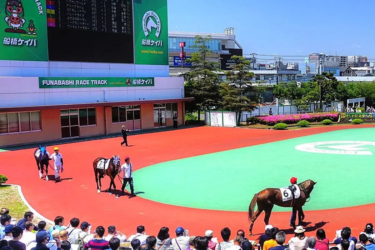 【かしわ記念2023予想】今年はJRA勢ではなく地方馬の台頭か？注目したい2頭とは？