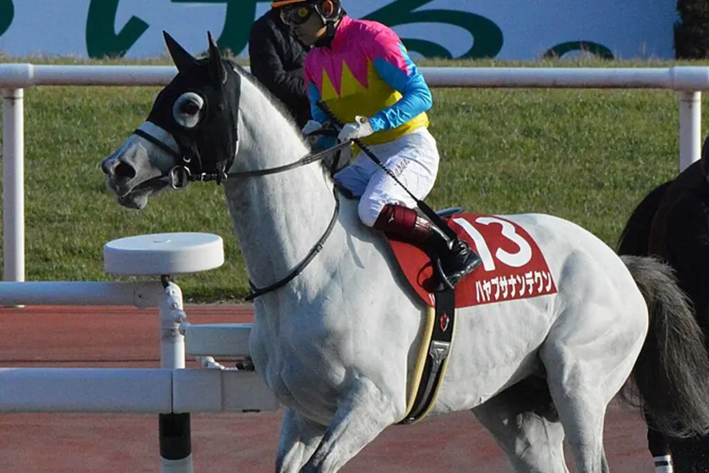 【JRA】ハヤブサナンデクンが屈腱炎で引退、東京競馬場の誘導馬に