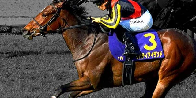 【JRA】リバティアイランドはジャパンCへの出走検討、13着凡走から巻き返しとなるか？