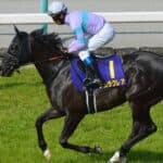 【阪神C予想2025】中心はナムラクレア✕C.ルメール、連覇に意欲