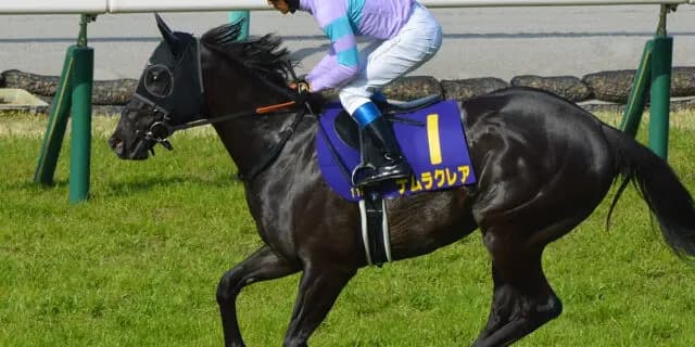 【スプリンターズS2025】ナムラクレアが1週前追い切りで併せ馬を圧倒、好仕上がりをアピール