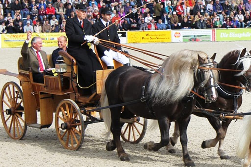 日本ダービー（2023）の優勝馬関係者による馬車パレードの実施が決定