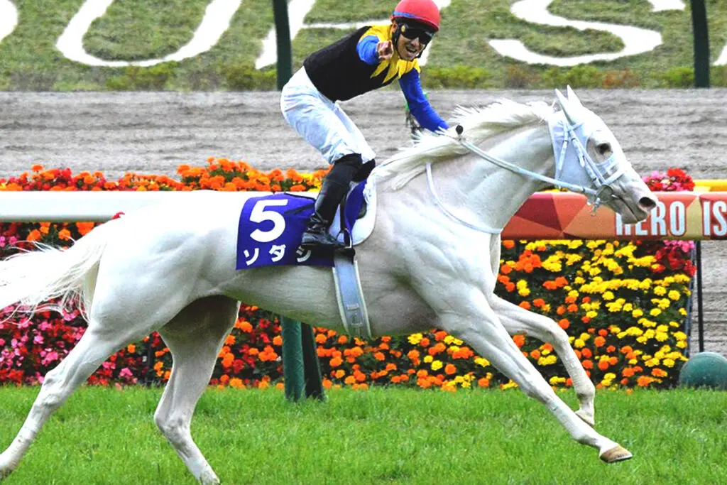 【安田記念2023予想】ソダシの乗り替わりは〝危険サイン〟か？