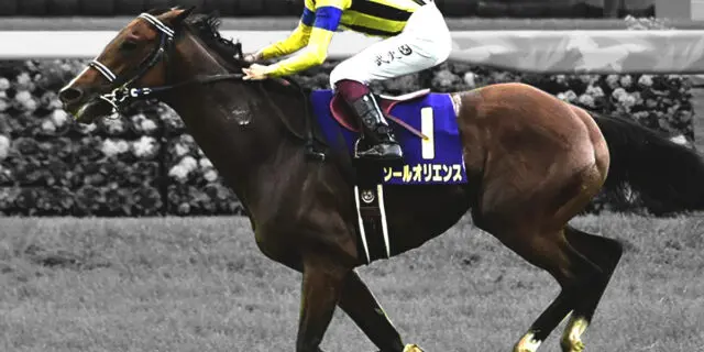 【JRA】ソールオリエンスが現役引退し種牡馬入り、天皇賞秋・14着がラストラン