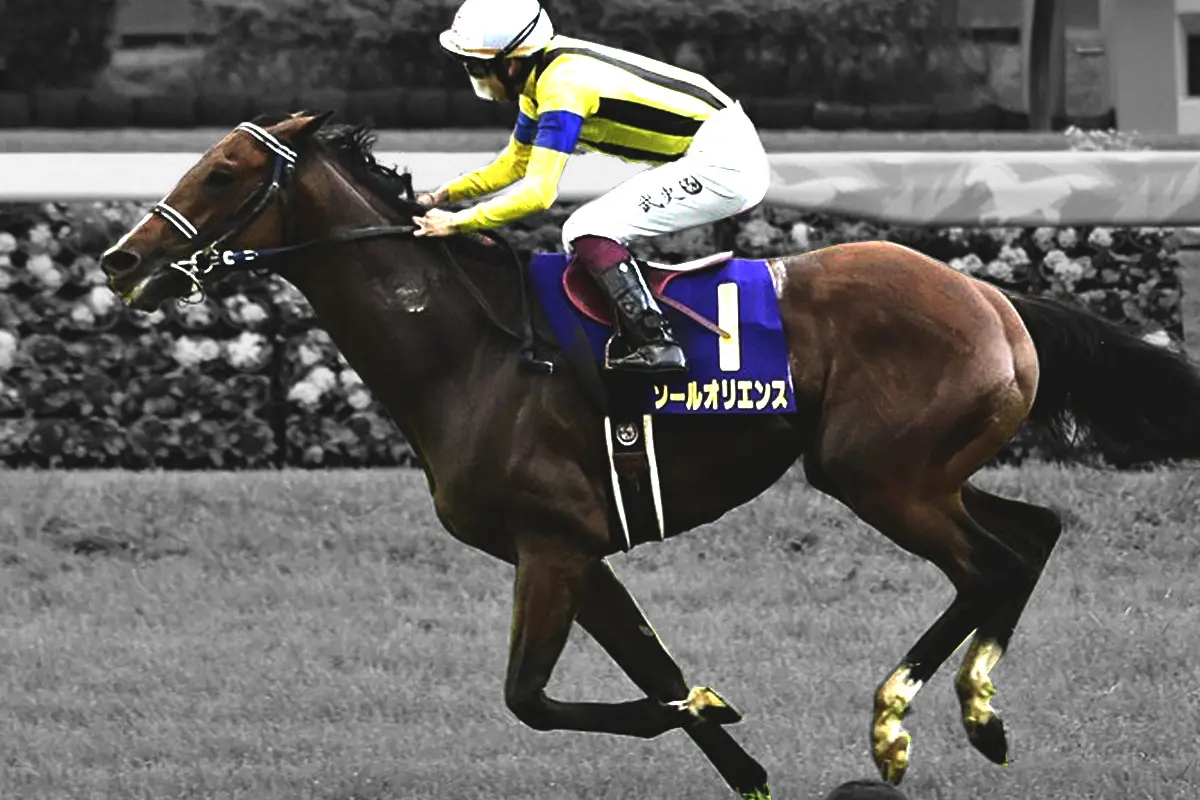 【JRA】ソールオリエンスが現役引退し種牡馬入り、天皇賞秋・14着がラストラン