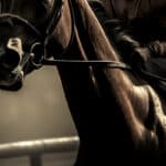 【オークス2026予想】左回り替わりで一変期待の穴馬とは？
