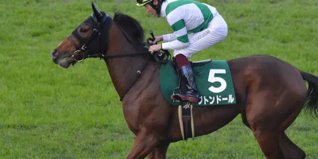 【JRA函館スプリントS予想2023】ブトンドールの2つの〝危険サイン〟とは？