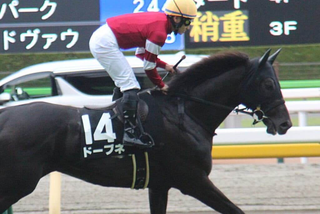 【JRA巴賞2023予想】非根幹距離の申し子ドーブネ、芝1800mは絶好条件