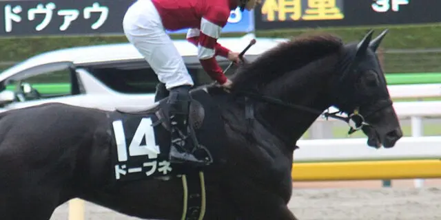 【JRA巴賞2023予想】非根幹距離の申し子ドーブネ、芝1800mは絶好条件