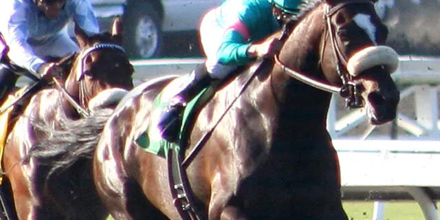 【海外競馬】G1・13勝の名牝ゼニヤッタが繁殖牝馬を引退