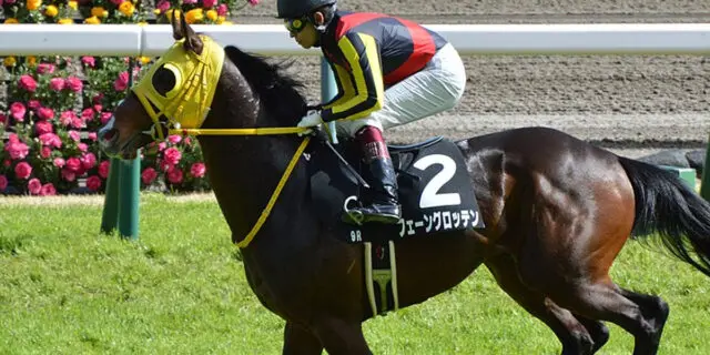 【七夕賞2023予想】逃げ馬候補のフェーングロッテンに〝危険サイン〟あり？