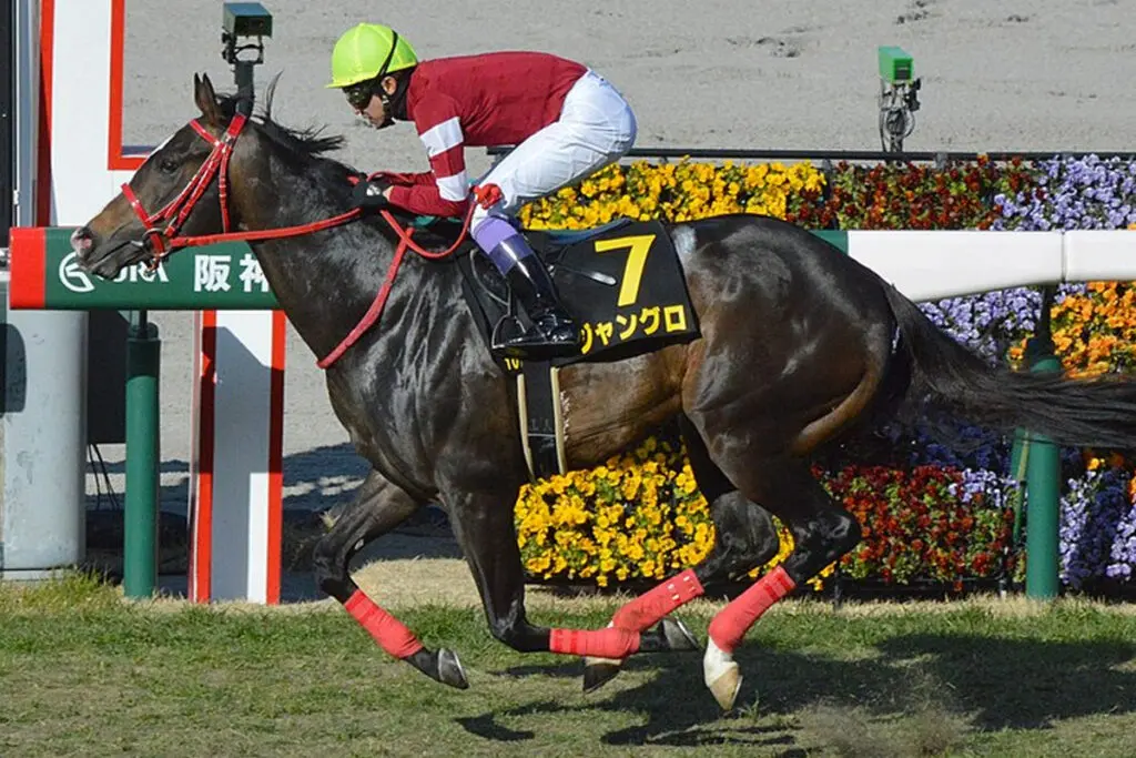 【アイビスSD予想2023】実績上位のジャングロが抱える3つの〝危険サイン〟とは？