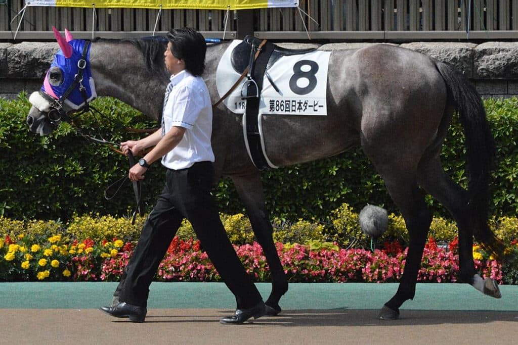 【JRA】メイショウテンゲンが引退、今後は中山競馬場で乗馬に