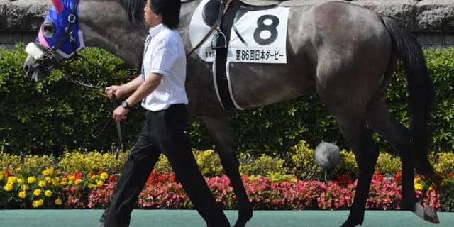 【JRA】メイショウテンゲンが引退、今後は中山競馬場で乗馬に