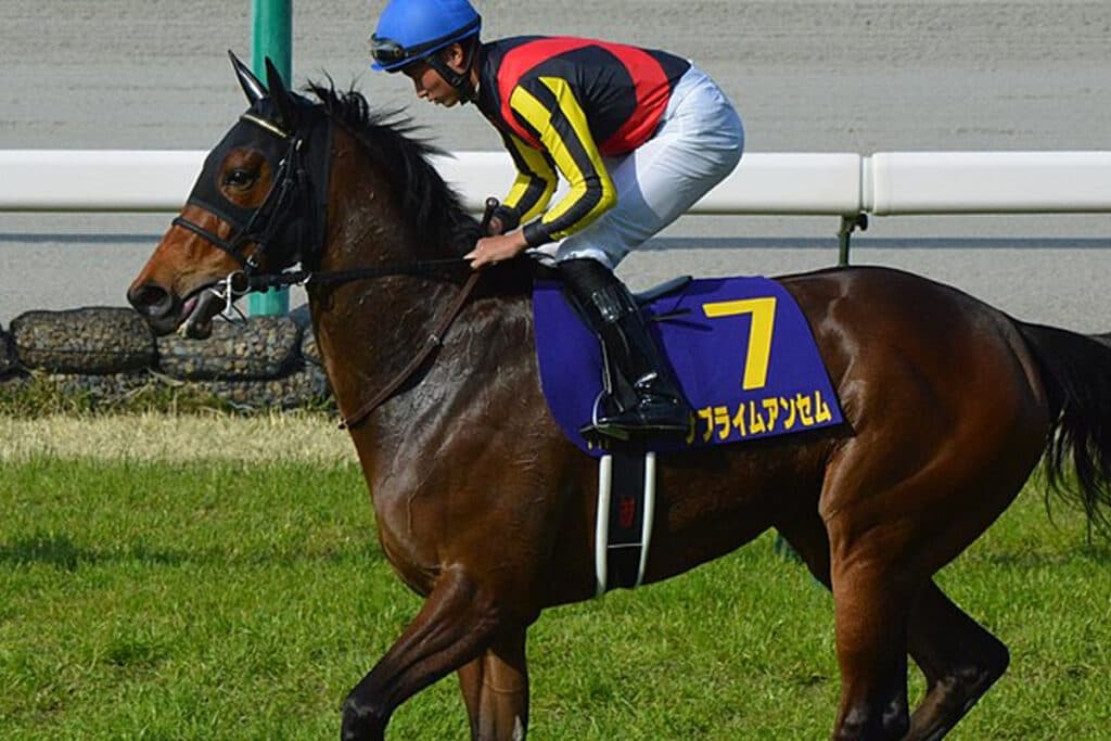 【スワンステークス2023予想】伏兵サブライムアンセムの一発に期待