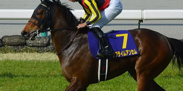 【スワンステークス2023予想】伏兵サブライムアンセムの一発に期待