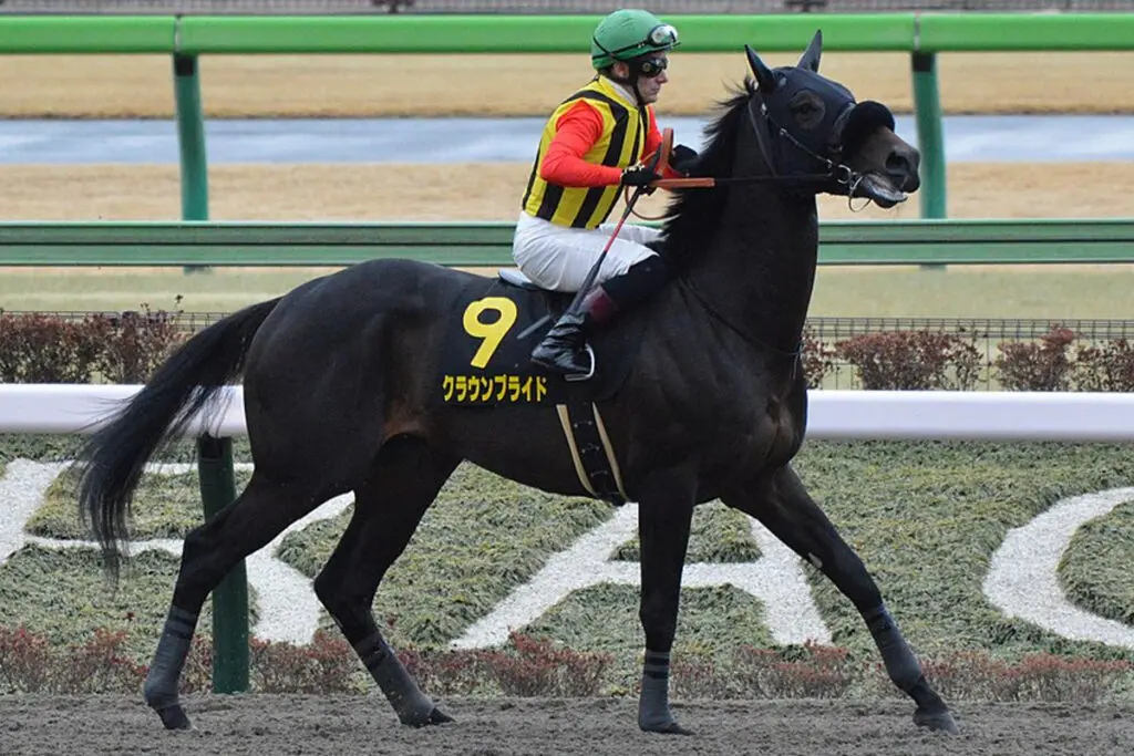 【JRA】クラウンプライドは9月のコリアカップを視野