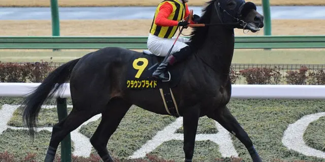 【JRA】クラウンプライドは9月のコリアカップを視野