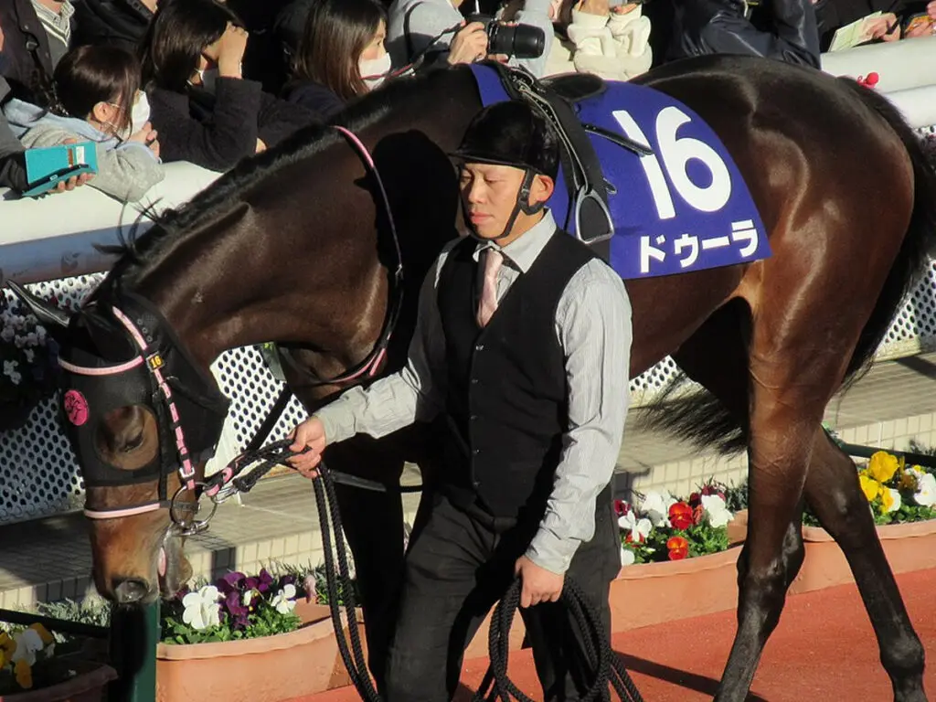 【JRA】クイーンS・1着のドゥーラは秋華賞へ直行、最終戦で逆転戴冠なるか？