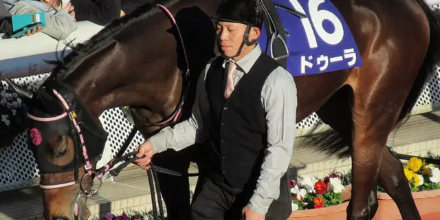 【JRA】クイーンS・1着のドゥーラは秋華賞へ直行、最終戦で逆転戴冠なるか？